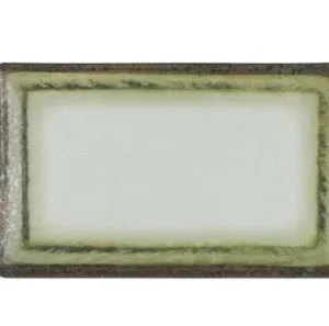 B100V010F