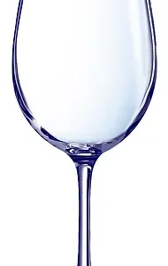 cabernet tulip
