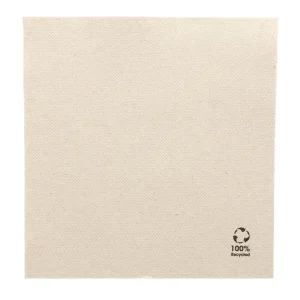 servilletaecodoblepoint